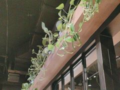 -权金城·炭火烤肉(北京联想桥店)