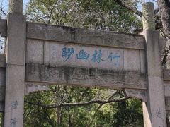 -镇江市南山风景名胜区竹林景区