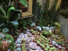 -舌尖上的食缘花园主题餐厅