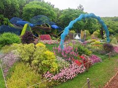 -上海共青森林公园