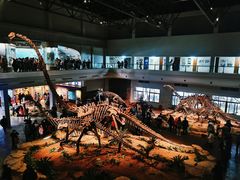 -自贡恐龙博物馆