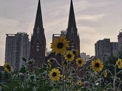 -徐家汇天主堂