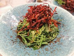 麻油菌菇丝瓜尖-沿途四季·云南菜(建外大街店)