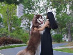 -爱侣宠医·鹦鹉专科·小型哺乳类·异宠专科(灵石路店)