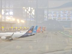 -青岛胶东国际机场