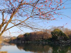 -西溪国家湿地公园