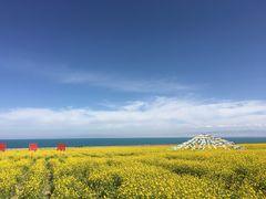 -青海湖国家重点风景名胜区