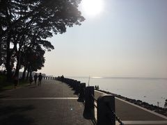 -深圳湾公园(南山区)
