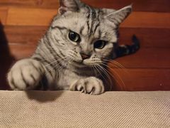 -兰溪小馆(东直门簋街店)