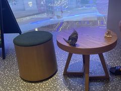 -星巴克臻选(上海陆家嘴中心店)