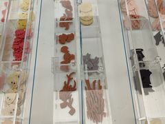 -CORNER CONE GELATO酷矿手作霜淇淋(南头古城店)
