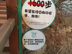 -大岭沟猕猴桃谷风景区