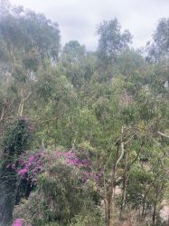 -爱丽馨御景月子中心