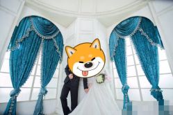 -蔚蓝海岸婚纱摄影(上海店)