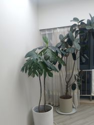 -HEYAN荷妍专业脱毛连锁机构