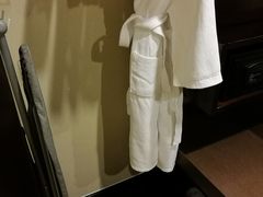-成都保利公园皇冠假日酒店(熊猫基地店)