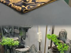 -巴拉吉·SPA·按摩养生馆