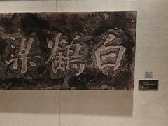 -白鹤梁水下博物馆