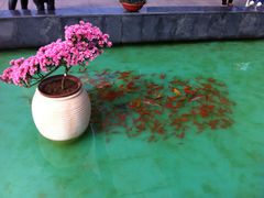 -南通洲际绿博园