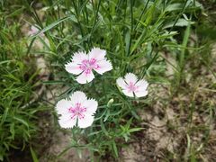 -瀛海足球主题公园