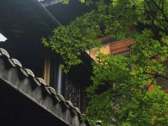 -鱼桥巷·美学川菜