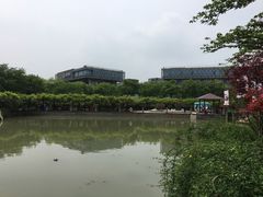 -嘉定紫藤园