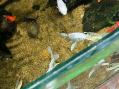 -太平洋海底世界