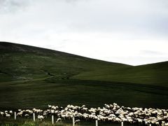 -莫尔道嘎国家森林公园