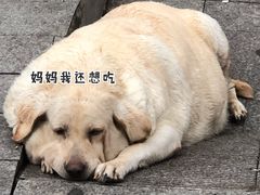 -沙溪兄茶餐厅