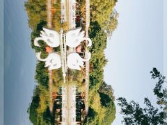 -中山公园