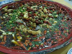 -东吴霸王兔(松青路店)