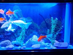 -宜昌富力皇冠假日酒店·咖啡1号西餐厅