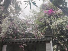 -深圳国际园林花卉博览园