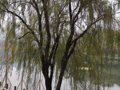 -重庆彩云湖湿地公园