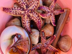 -前王院•巧克力海鲜市集餐厅(万平口店)