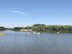 -大兴滨河森林公园