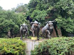 -昆明市金殿名胜区