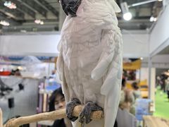 -重庆国际会议展览中心