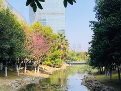 -四川广播电视台(世纪城路店)
