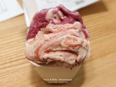 -喜茶(上海打浦桥日月光gelato lab+店)