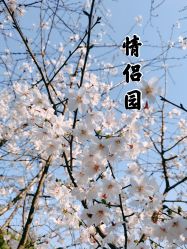 -玄武湖景区-情侣园游乐场