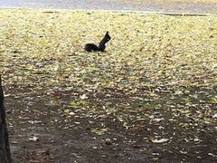 -中国建设银行哈尔滨培训中心