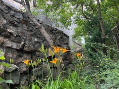 -紫金山天文台