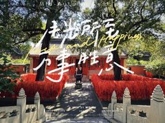 -红螺寺