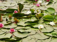 -长春市南湖公园