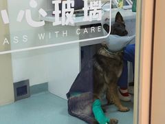 -全心全意动物诊疗中心医院(北苑店)