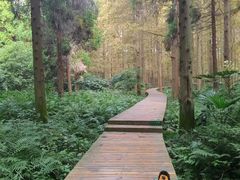 android_upload_pic-上海怡沁园度假酒店