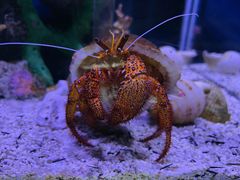 -太平洋海底世界