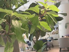 -逗葉茶事·新中式茶饮(创始店)