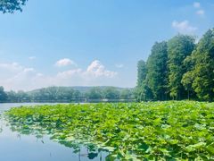 -东湖宾馆-中餐厅
